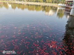 -西海子公园