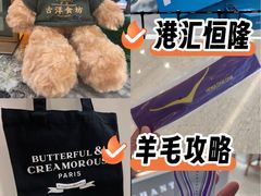 -港汇恒隆广场