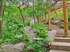 -大岭沟猕猴桃谷风景区