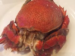 -小天鹅戴斯酒店鲸鲨百汇创作料理