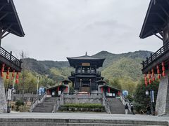 -大唐贡茶院