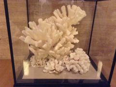 -惠州金海湾嘉华度假酒店