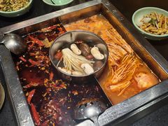-蜀江龙火锅(339店)