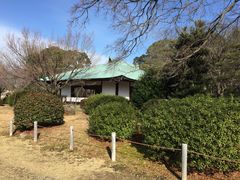 -名古屋城