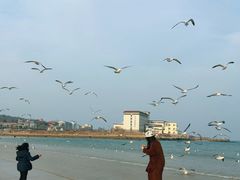-养马岛旅游度假区