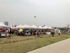 -栖露营camping·天幕烧烤·团建拓展·采摘营地