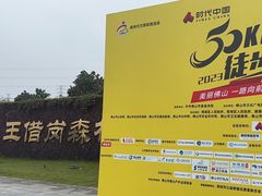 -王借岗森林公园
