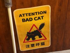 -吹泡·Triphop(棋盘店)