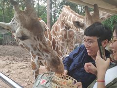 -清迈夜间动物园