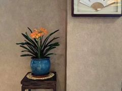 -皇茶会(泰鹏大厦店)