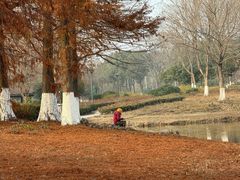 -长广溪湿地公园