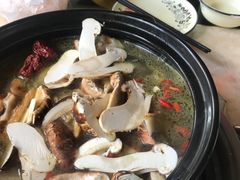 -蘑统田下·野生菌火锅
