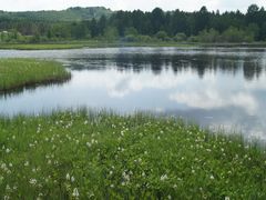 -塞罕坝国家级自然保护区