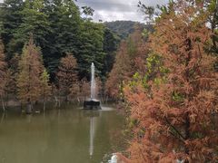 -广州市帽峰山景区