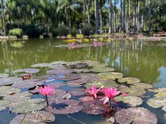 -中国科学院西双版纳热带植物园