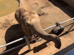 -西霞口神雕山野生动物世界