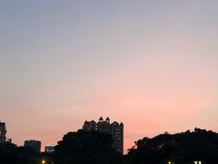 -顺峰山公园