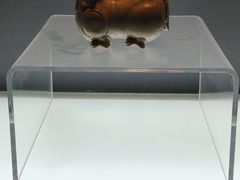-衢州市博物馆