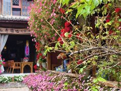 -民食香·腊排骨野生菌美食(木府店)