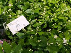 -三旗百汇商品城