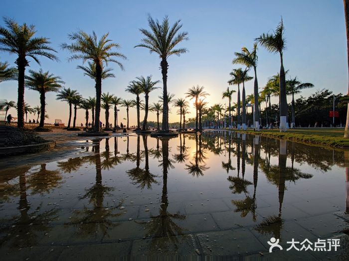 滨海公园图片