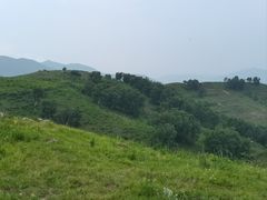-灵山