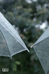 -经典婚纱摄影美学馆·私人定制