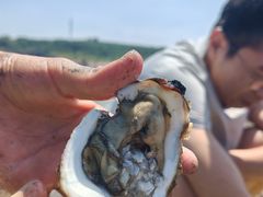 -辽宁团山国家级海洋公园