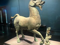 -广西壮族自治区博物馆