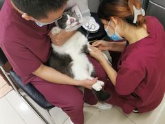 -宠颐生中康贝怡动物医院