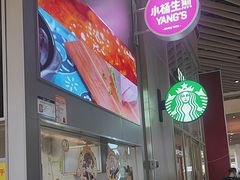 -小杨生煎(深圳岗厦北店)