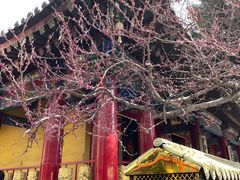 -西安市广仁寺