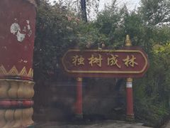-独树成林