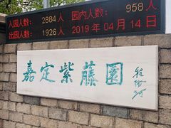-嘉定紫藤园