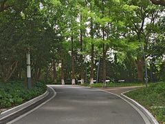 -苏州河梦清园环保主题公园