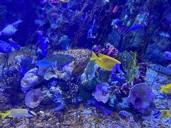 -太平洋海底世界