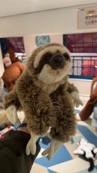 -奈尔宝·儿童乐园·亲子餐厅(华采天地店)