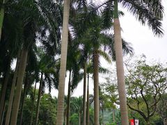 -广州雕塑公园