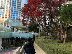 -乐天免税店(明洞店)