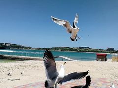 -海驴岛(荣成市)