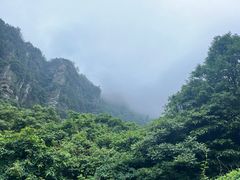 -庐山碧龙潭风景区