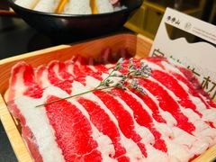 -季季山•云南野生菌火锅(上海首店)