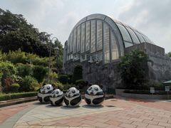 -石排湾郊野公园