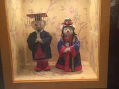 -济州岛泰迪熊博物馆