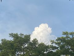 -良渚文化村