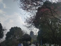 -龙头寺公园