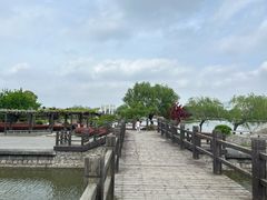 -上海鲜花港