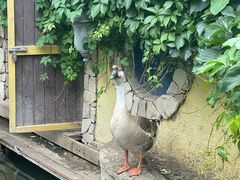 -南宫五洲植物乐园