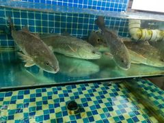 水产区-87号烧烤海鲜·大排档(金沙滩店)