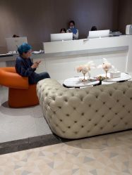 -深圳米兰柏羽医疗美容医院